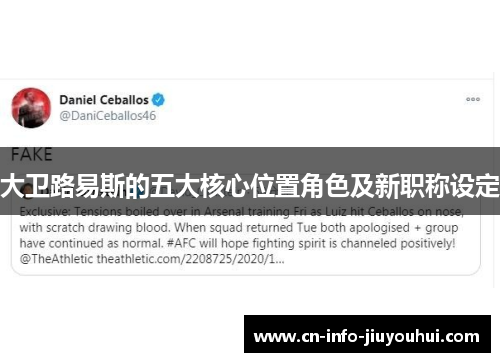 大卫路易斯的五大核心位置角色及新职称设定