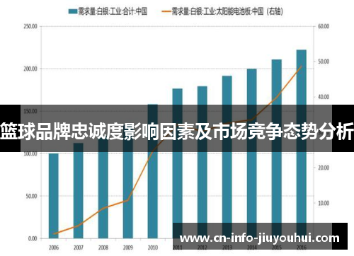 篮球品牌忠诚度影响因素及市场竞争态势分析
